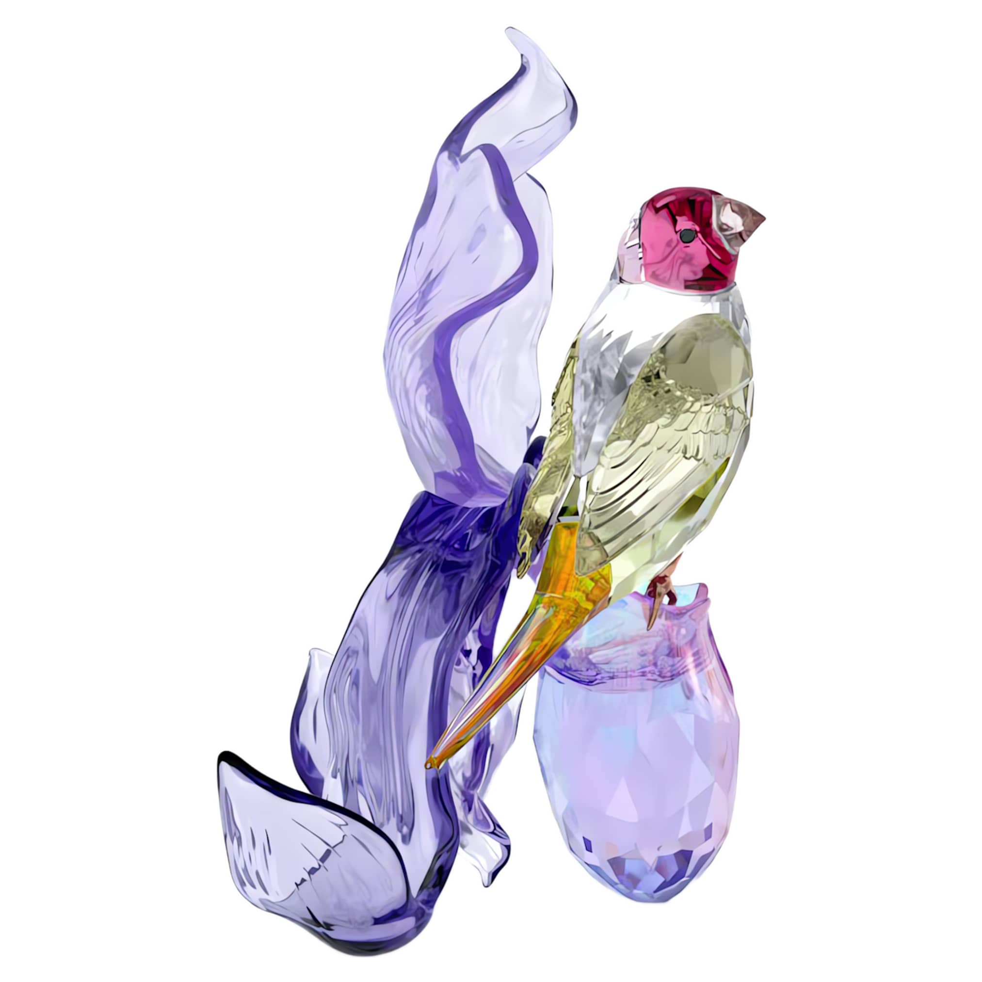 Swarovski Idyllia Gouldian Finch and Orchid