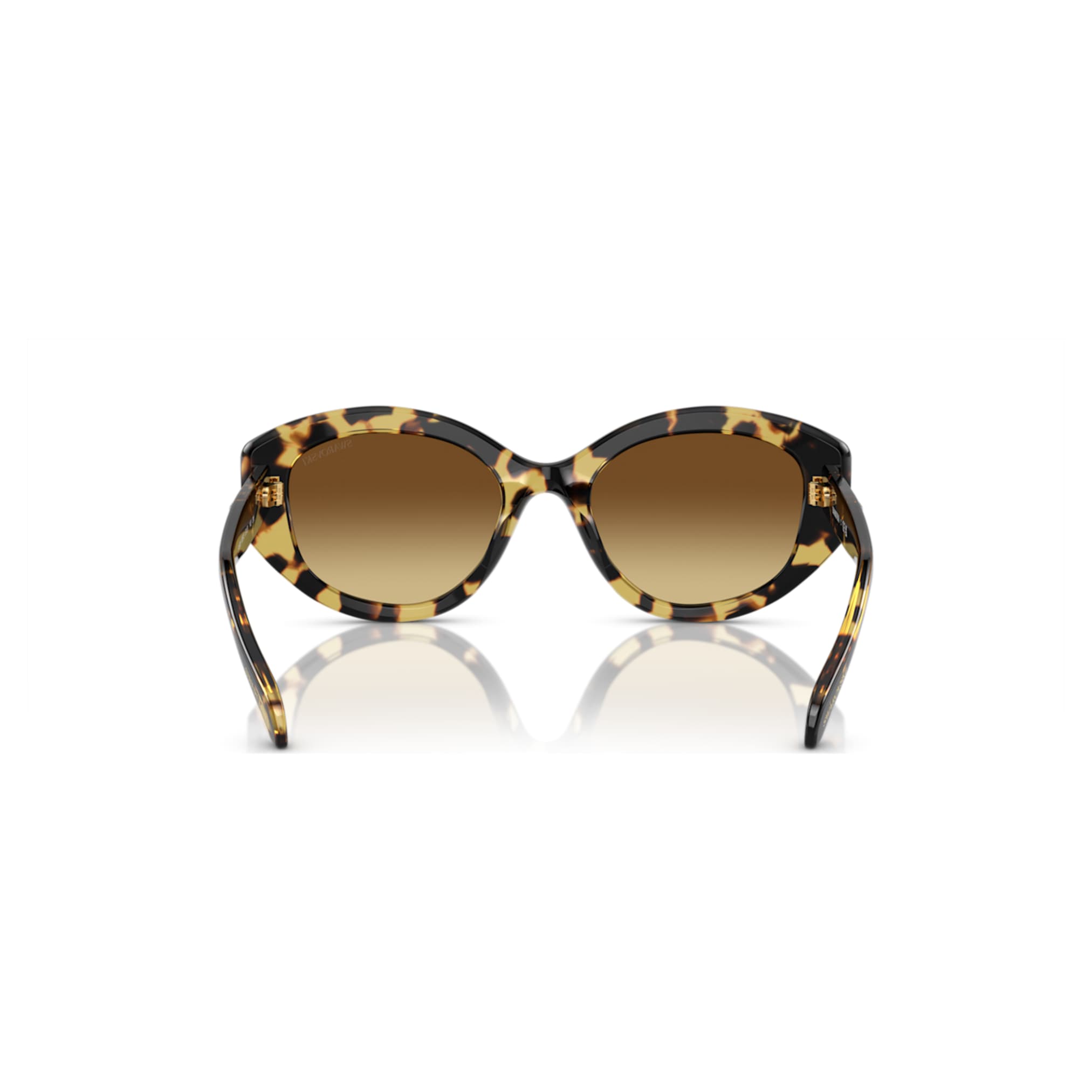 Swarovski Sunglasses Cat-eye shape, SK6008, Brown